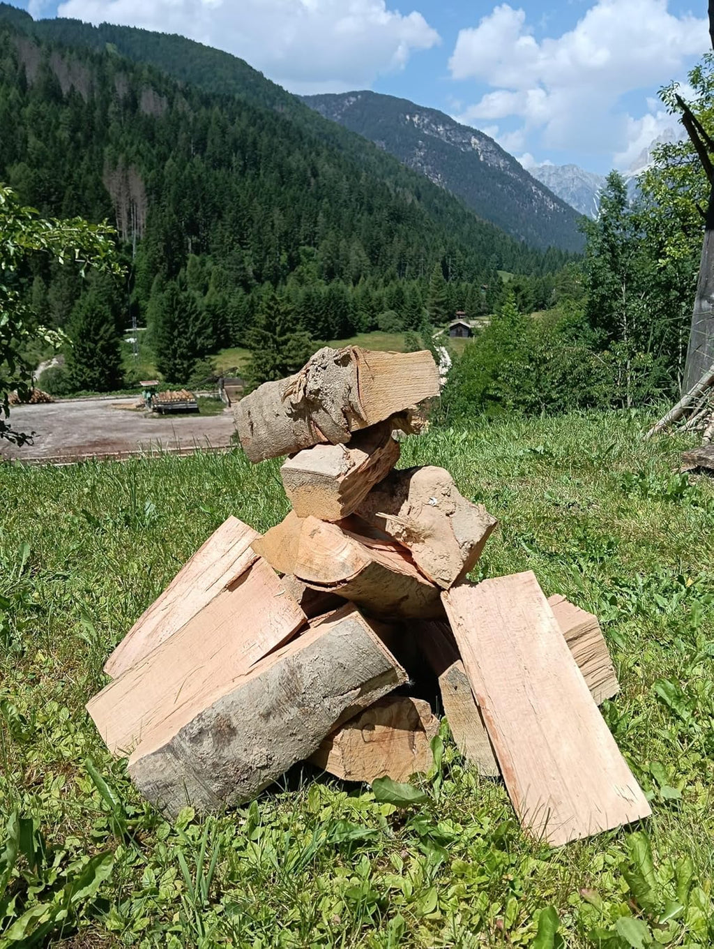 Bancale Legna da Ardere di Faggio – 1000 kg – Ciocchi Selezionati da 25 cm – Pronta all'Uso – Bancale 120x80 cm per Caminetti, Stufe, Forni, Barbecue