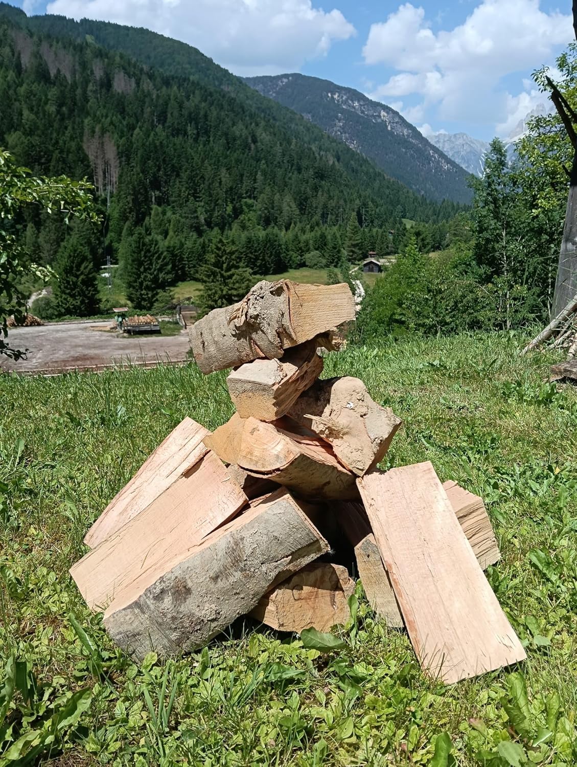 Bancale Legna da Ardere di Faggio – 1000 kg – Ciocchi Selezionati da 25 cm – Pronta all'Uso – Bancale 120x80 cm per Caminetti, Stufe, Forni, Barbecue